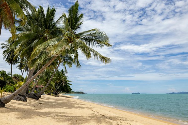 Vacances à la plage : comment prendre soin de sa peau