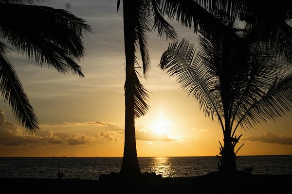 Découvrez la meilleure boutique tibétaine en ligne pour votre spiritualité